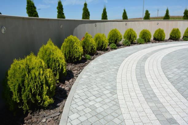 Best Decorative Driveway Pavers  in Lake Mills, WI